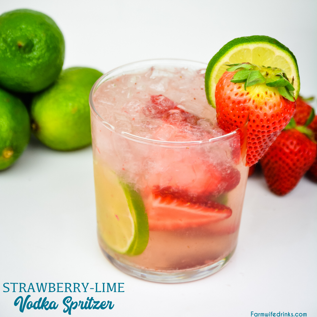 Strawberry Lime Vodka Spritzer is a refreshing cocktail recipe made with fresh fruit, vodka, and soda water for a low-carb cocktail.