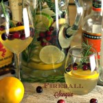 Fireball Sangria recipe is a crisp white wine sangria with a strong cinnamon flavor. Subtle hits of orange, cranberry, and apple make this the perfect Christmas Sangria.