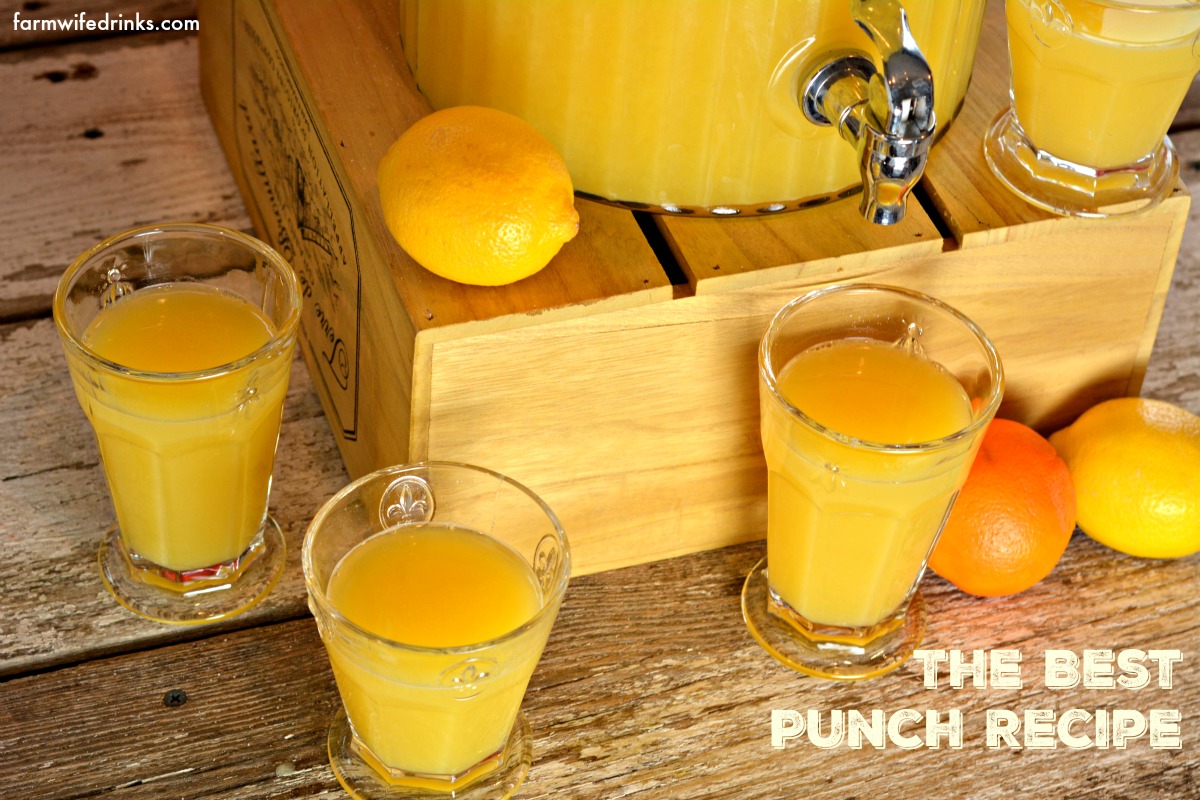 The Best Punch Recipe - The Farmwife Drinks
