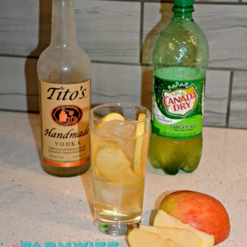 The subtle flavor of apple from the apple infused vodka make this ginger apple cocktail a crisp, refreshing fall cocktail