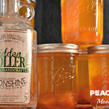 Peach Pie Moonshine, the perfect mason jar gift for the most important people in your life who need who need a stiff drink.