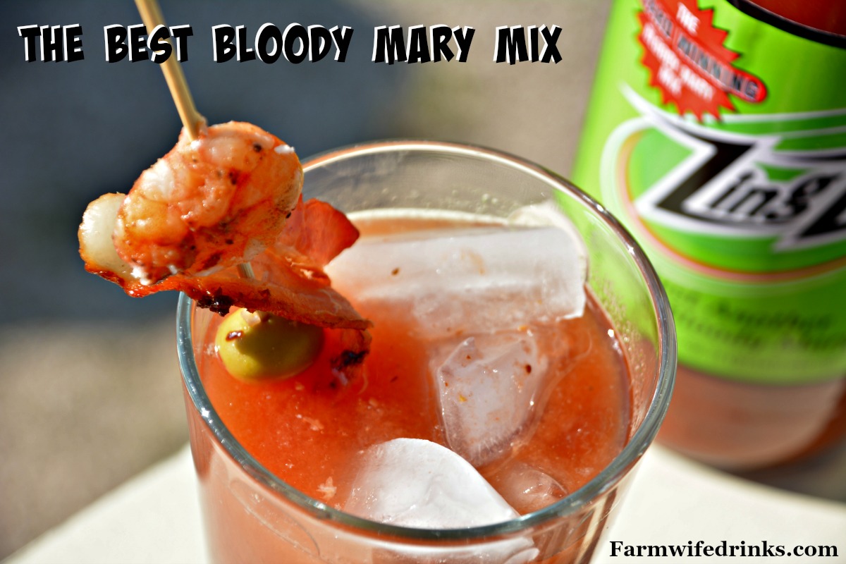 Want to make the best Bloody Mary? No fear, just use a mix. Find out what the best Bloody Mary mix is and save yourself the money in making your own mix.