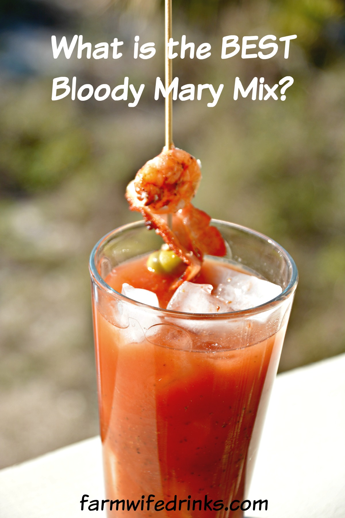 Want to make the best Bloody Mary? No fear, just use a mix. Find out what the best Bloody Mary mix is. 