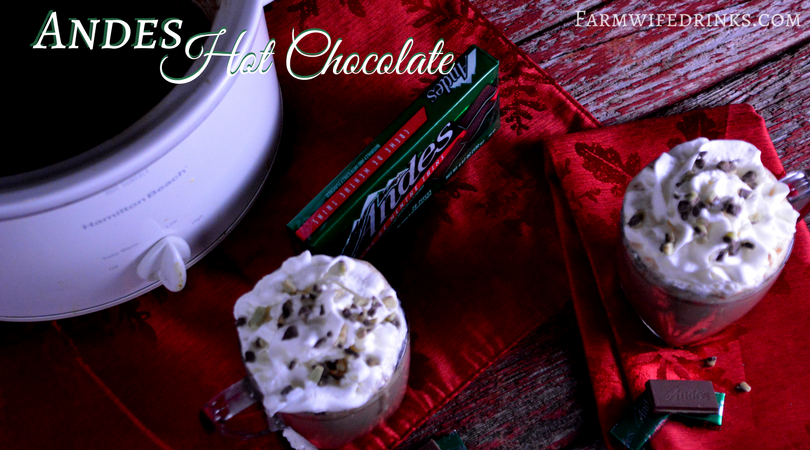 The crock pot Andes mint hot chocolate was sweet and decadent and smooth. All the things one would imagine when you combine Andes mints with milk and a few other rich ingredients.
