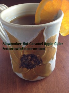 Crock Pot Hot Caramel Apple Cider