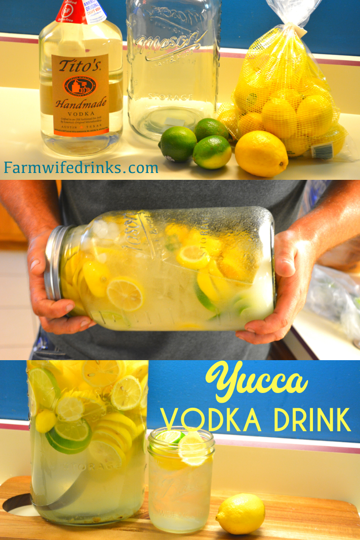 Yucca Drink is the combination of the result of shaking jar fulls of lemons, sugar, ice, and vodka for a sweet, sweet nectar for a large batch vodka drink.