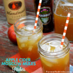 Apple Cider Moscow Mules Pitchers combine apple cider, ginger beer, and vodka to form the best cocktail to drink all fall long. #MoscowMule #Cocktails #Apple #AppleCider #Cocktail #MoscowMule