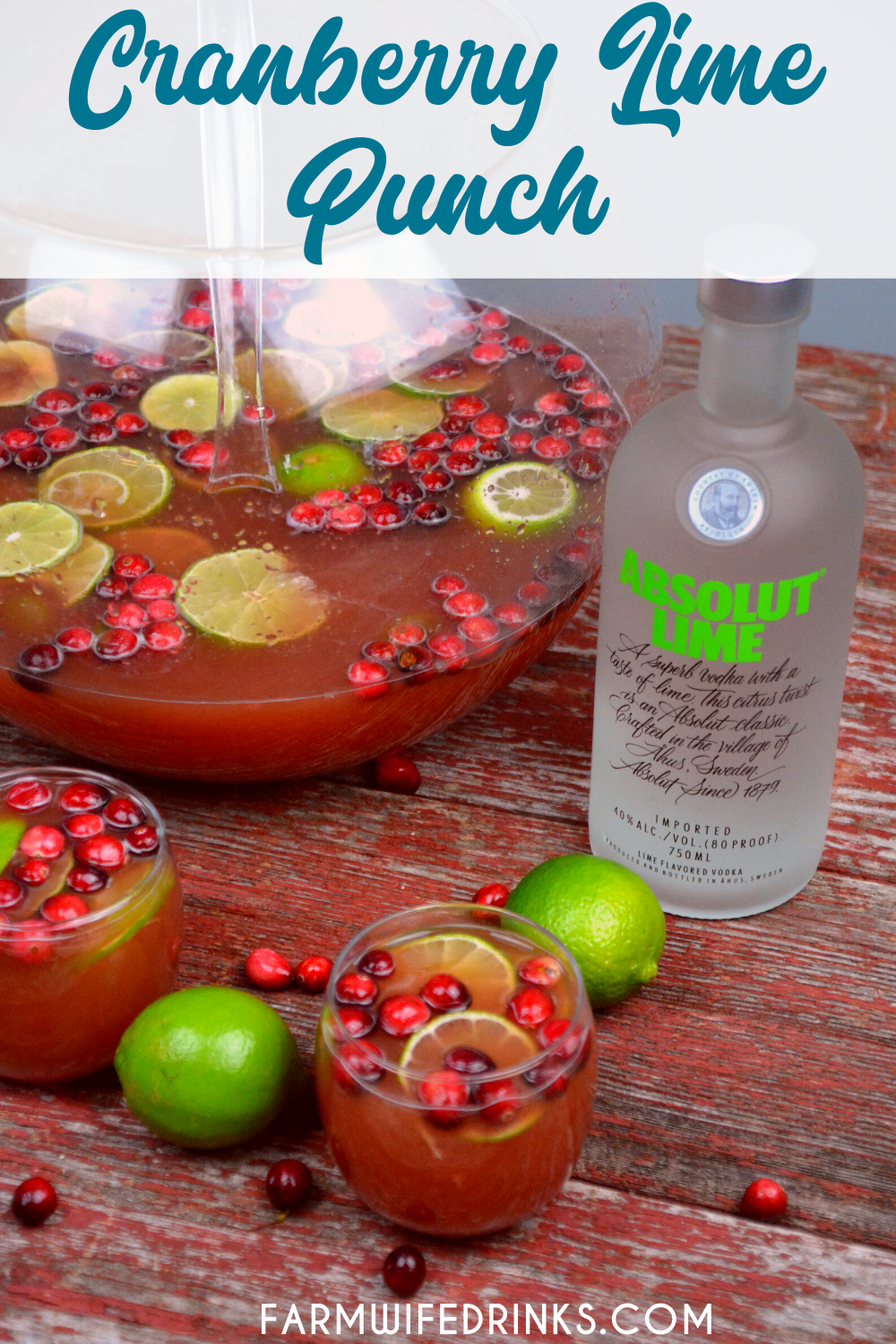 Vodka-Spiked Cranberry Lime Punch is the perfect Christmas punch as it can be kid friendly and have a dose of lime vodka for the adults.