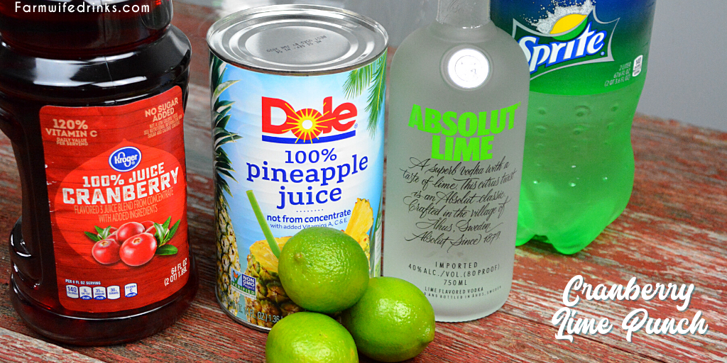 Vodka Limeade Punch - Crazy for Crust