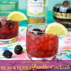 Blackberry Bramble Cocktail combines fresh lemon juice with muddled blackberries marries perfectly with gin and Chambord for a perfect summer cocktail.