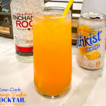 Low-Carb orange vodka cocktail is a zero carb alcoholic drink that is a great combination of orange diet soda and vodka.