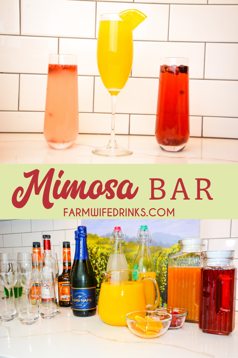 Mimosa bar ideas can include types of juices, garnishes, glasses, and even champagne, prosecco, or cava to help perfect your next brunch, shower, or holiday gathering. Learn everything you will need to know how to make a mimosa bar at your next event.