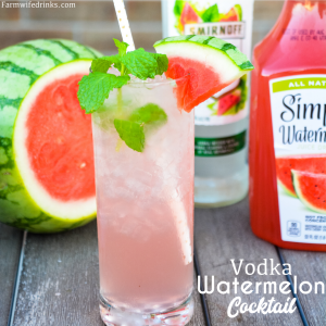 Watermelon Vodka Cocktail made with Blended Fresh Watermelon