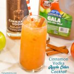 Cinnamon vodka apple cider cocktail is a simple fall cocktail for the vodka lovers out there.