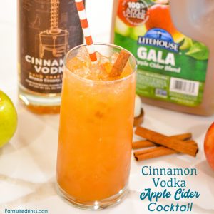 Cinnamon vodka apple cider cocktail is a simple fall cocktail for the vodka lovers out there.