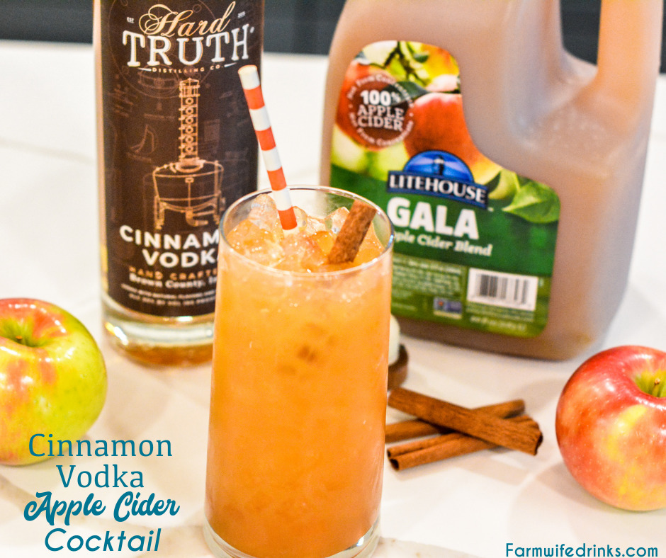 Cinnamon vodka apple cider cocktail is a simple fall cocktail for the vodka lovers out there.