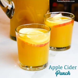 Apple cider punch is a simple fall punch recipe made with apple cider, pineapple juice, and ginger ale that is perfect to be topped off with spiced rum like Captain Morgan, amaretto or vodka.