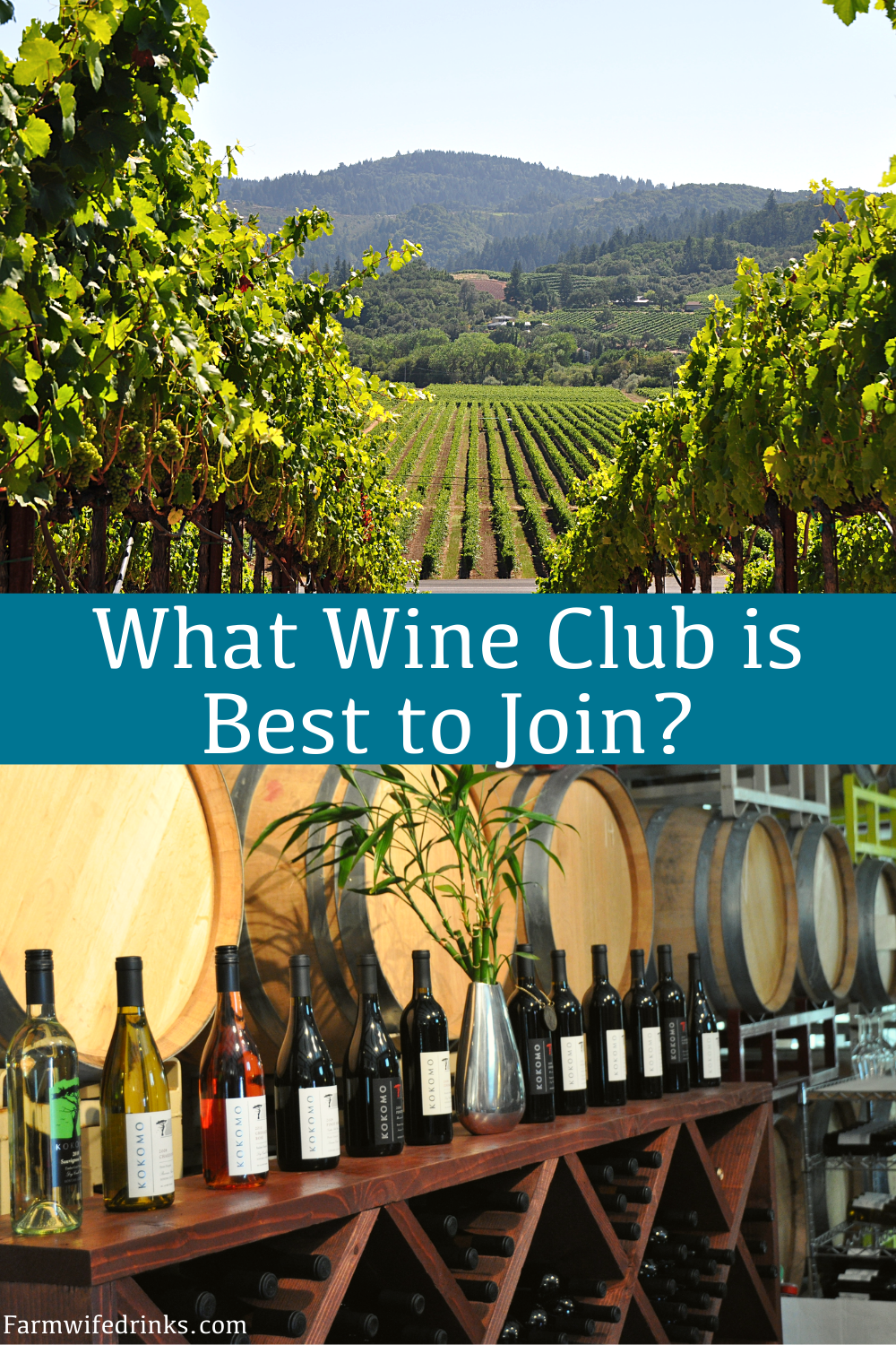 what wine club is best to join