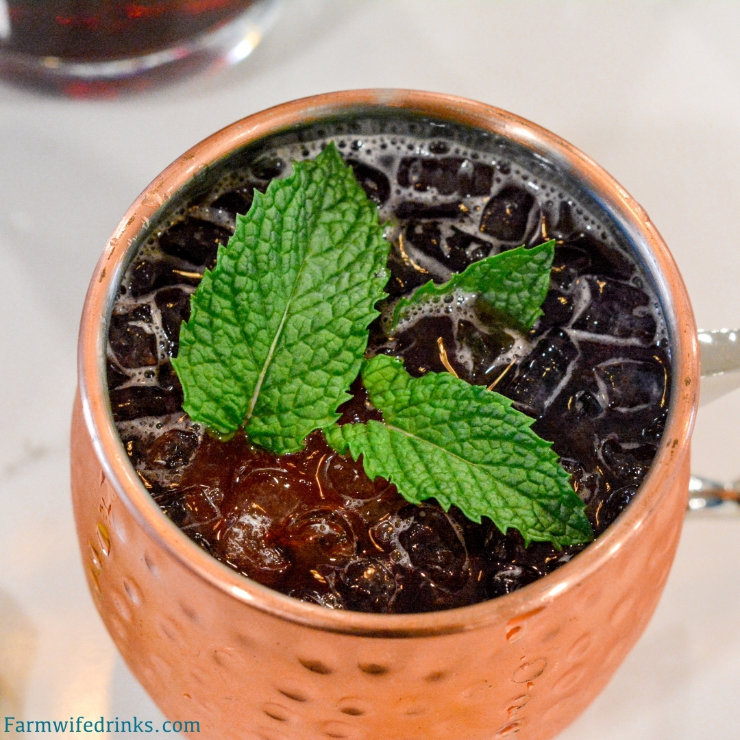 Blackberry Moscow Mules are just what summer order with the combination of blackberry-infused vodka with ginger beer and lime juice, topped with mint and fresh blackberries to make one of my favorite Moscow Mule recipes.