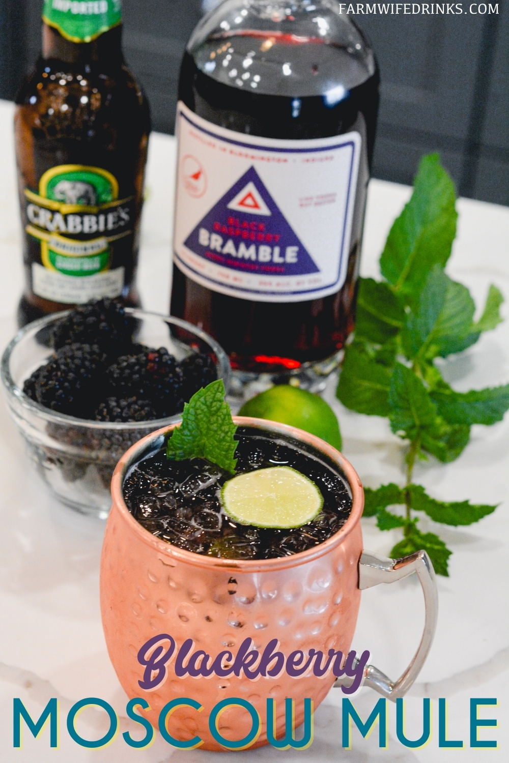 Blackberry Moscow Mules are just what summer order with the combination of blackberry-infused vodka with ginger beer and lime juice, topped with mint and fresh blackberries to make one of my favorite Moscow Mule recipes.