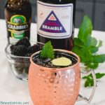 Blackberry Moscow Mules are just what summer order with the combination of blackberry-infused vodka with ginger beer and lime juice, topped with mint and fresh blackberries to make one of my favorite Moscow Mule recipes.