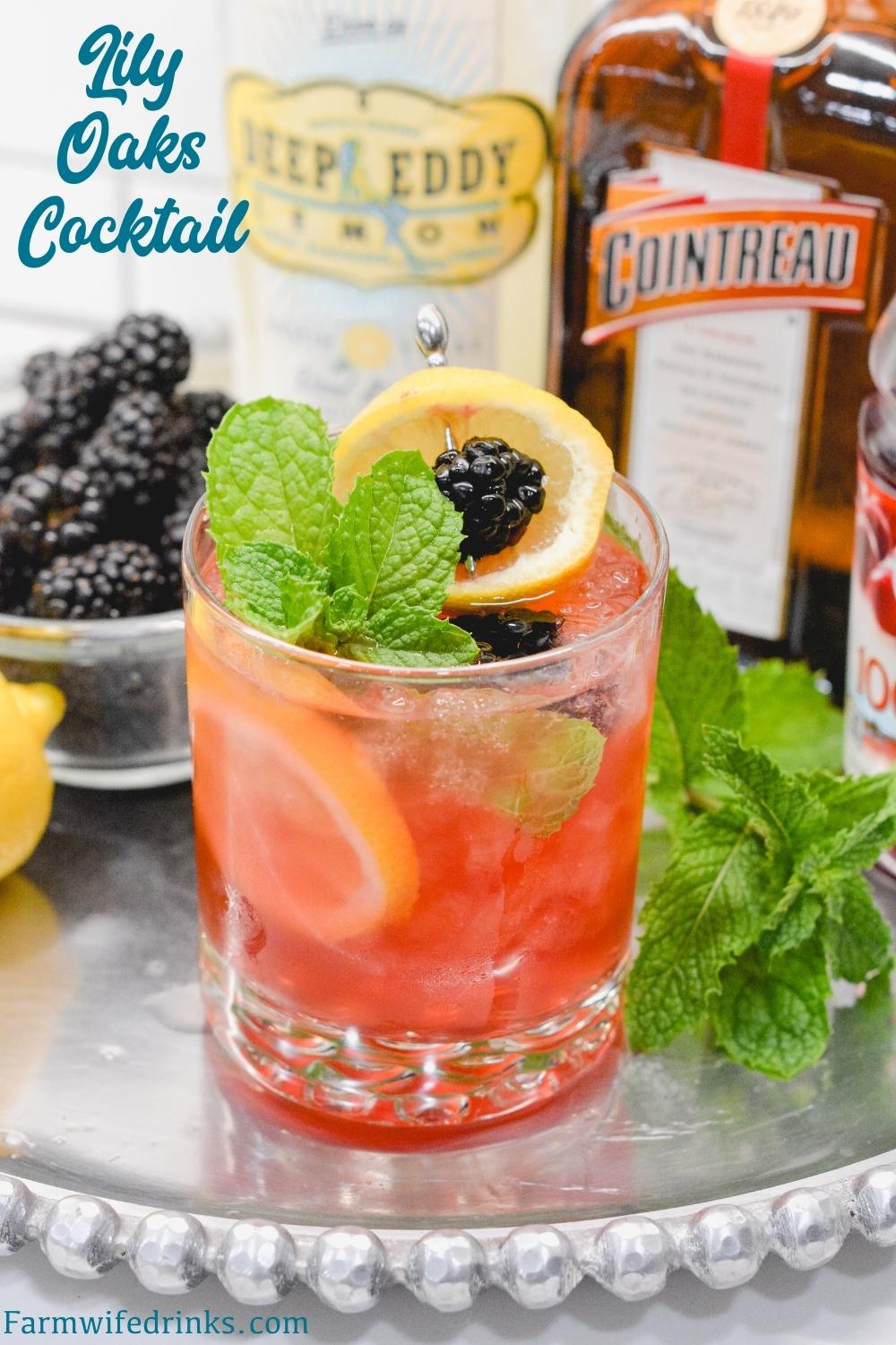 The Lily Oaks drink is a combination of cranberry juice, orange liqueur, lemonade, and vodka combined and garnished with mint, lemon, and blackberries.