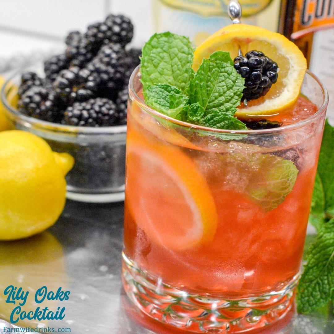 The Lily Oaks drink is a combination of cranberry juice, orange liqueur, lemonade, and vodka combined and garnished with mint, lemon, and blackberries.