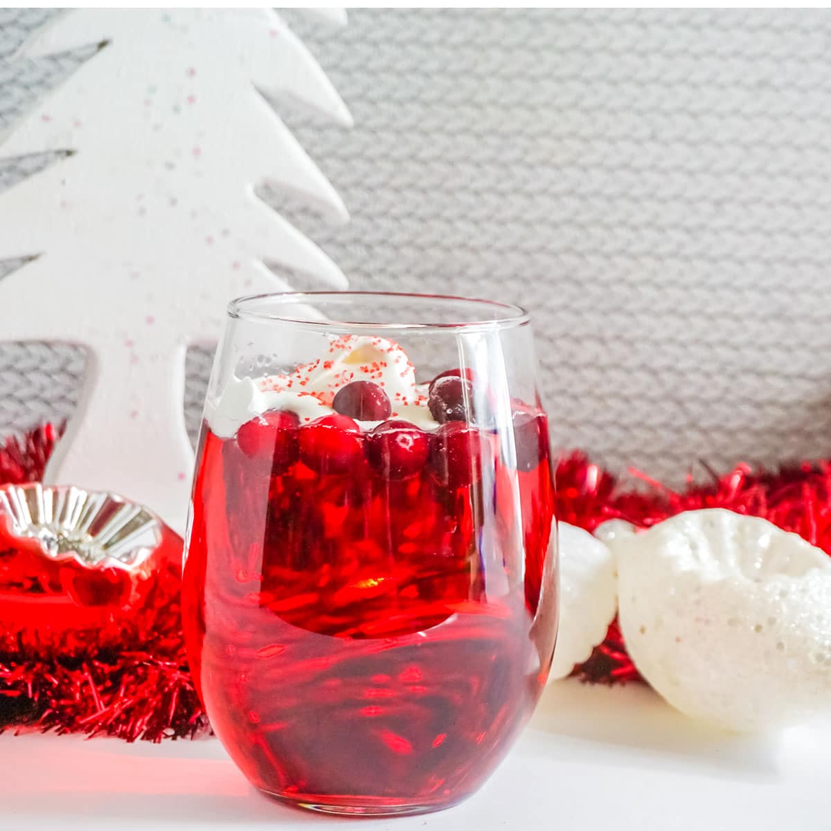 A Punch for all ages, Christmas Season and Cranberry Lovers.