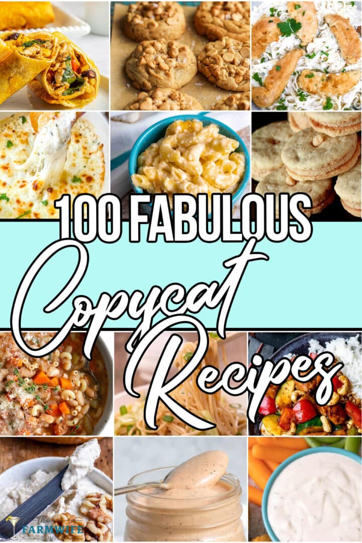 100 Favorite Copycat Recipes Anyone Can Make