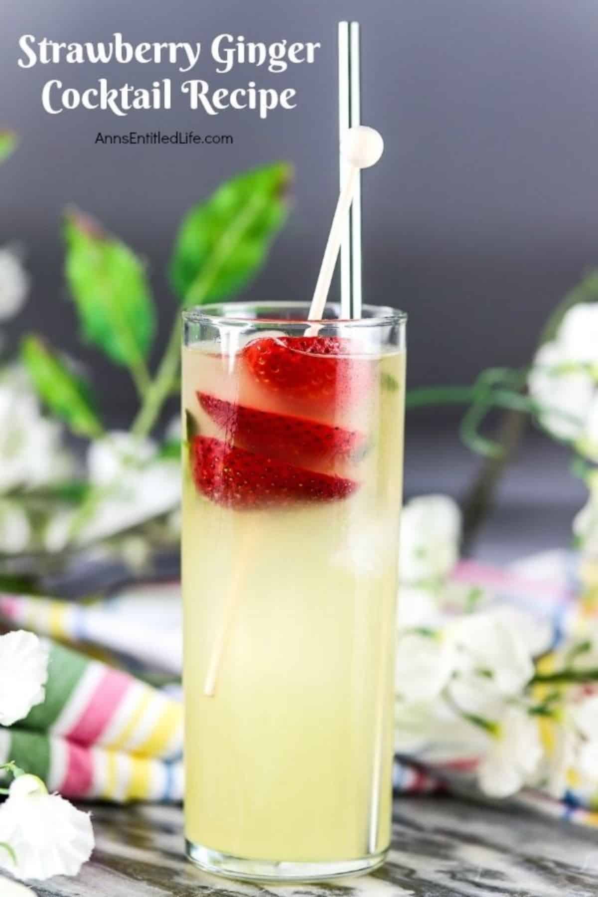 strawberry-ginger-cocktail-recipe-fruity rum drinks
