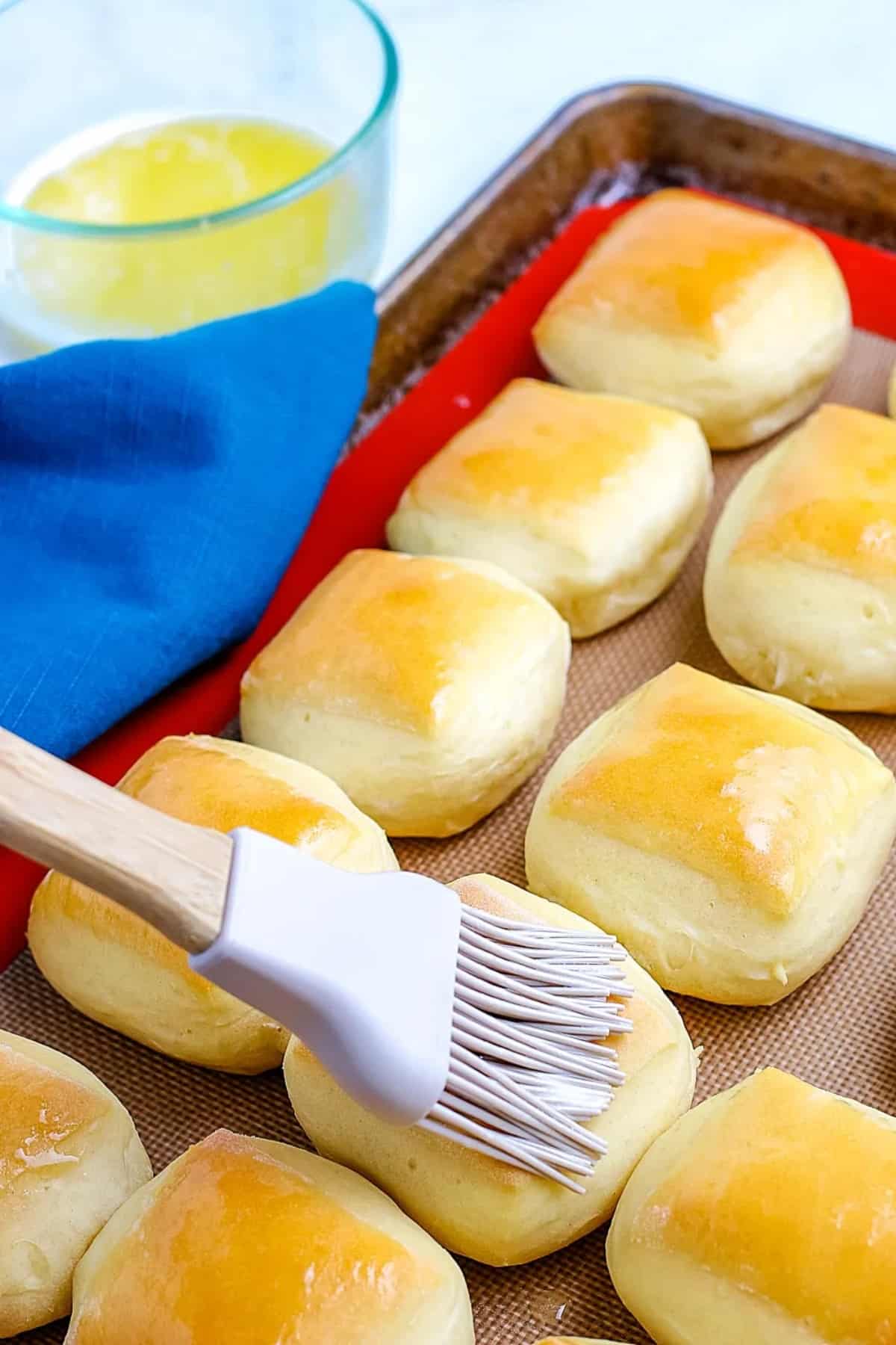 texas roadhouse rolls copycat recipe