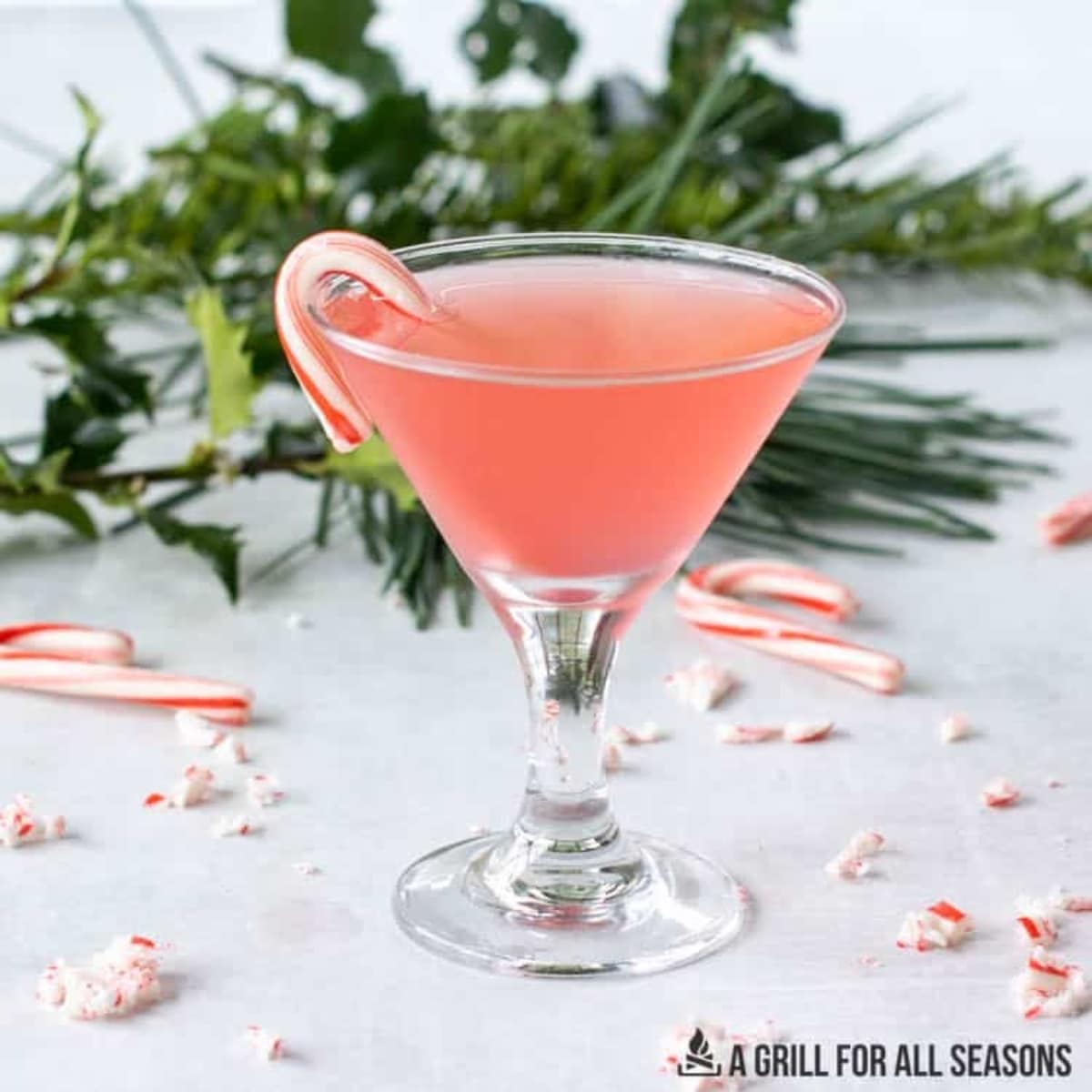 48 - candy-cane-martini-5-martini-recipes