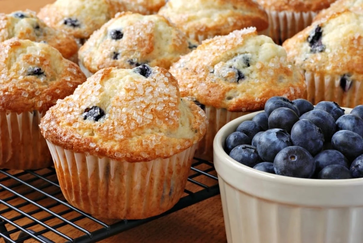 dunkin donuts blueberry muffins