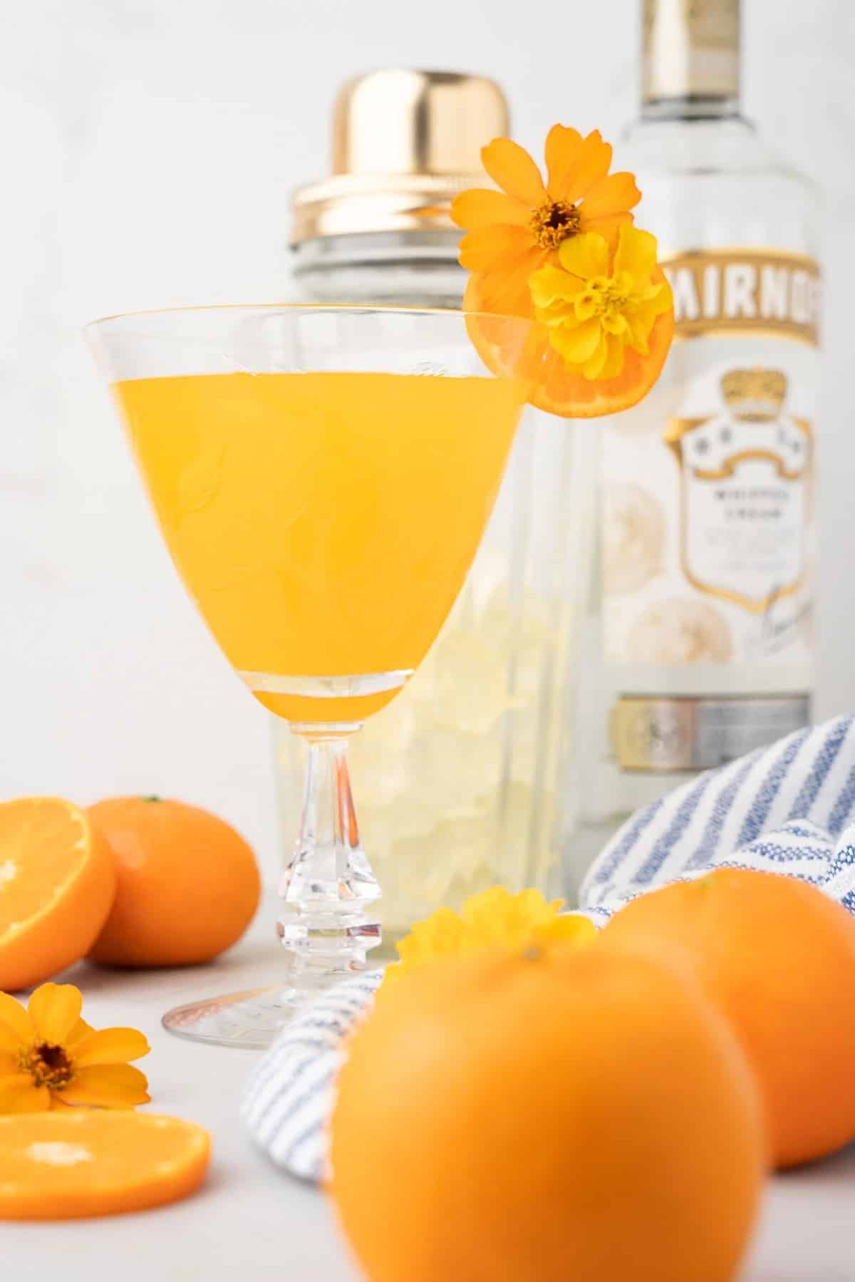 9 - clementine_creamsicle_martini-_summer_cocktail-034-martini-recipes