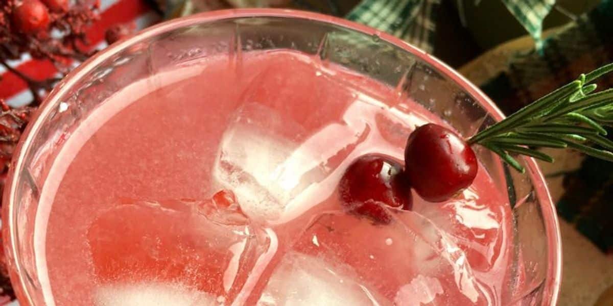 Cranberry Margarita Recipe for Christmas - Mommy Evolution