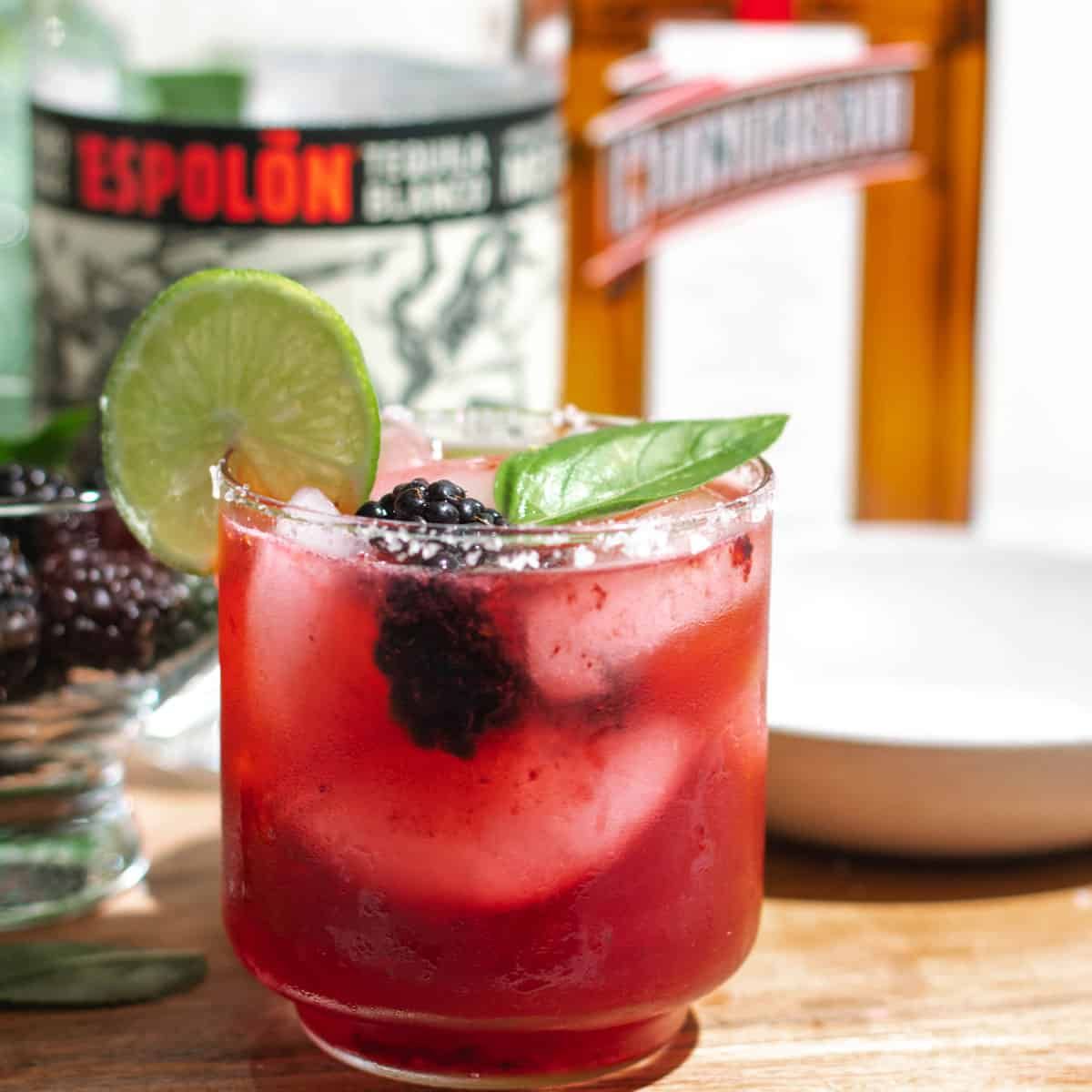 Blackberry Basil Margarita