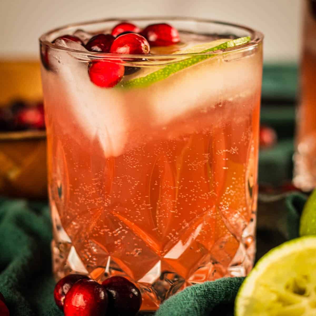 Cranberry Moscow Mule Recipe - Saporito Kitchen