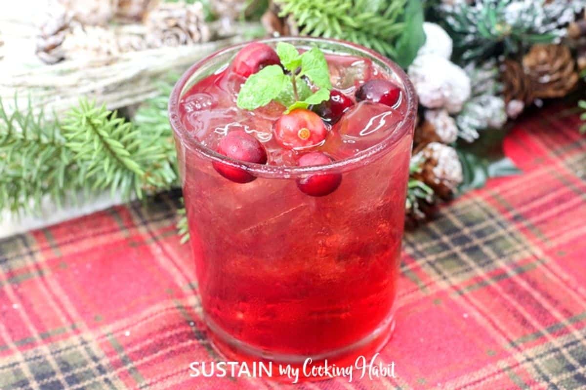 Easy Tequila Cranberry Spritzer Recipe