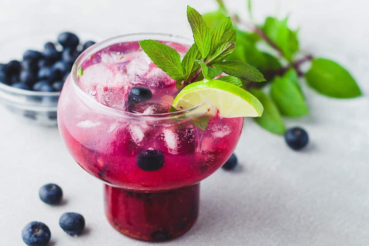 Blueberry Mojito Cocktail