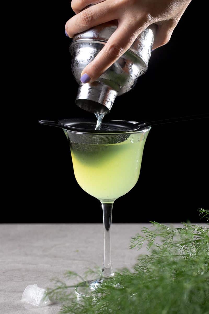 Fennel Cocktail