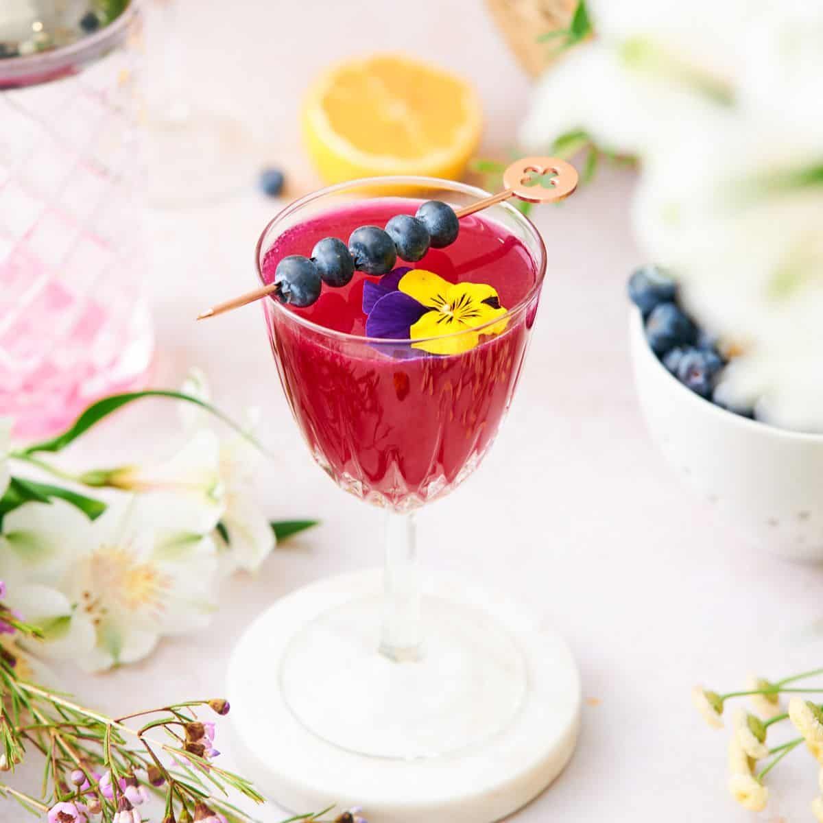 Blueberry Gin Cocktail Recipe
