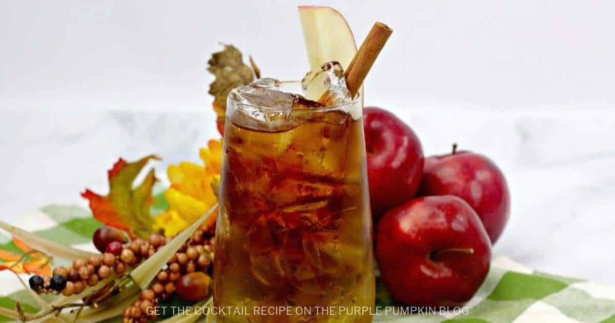 Apple Cider Dark and Stormy Cocktail - Perfect Fall Beverage!