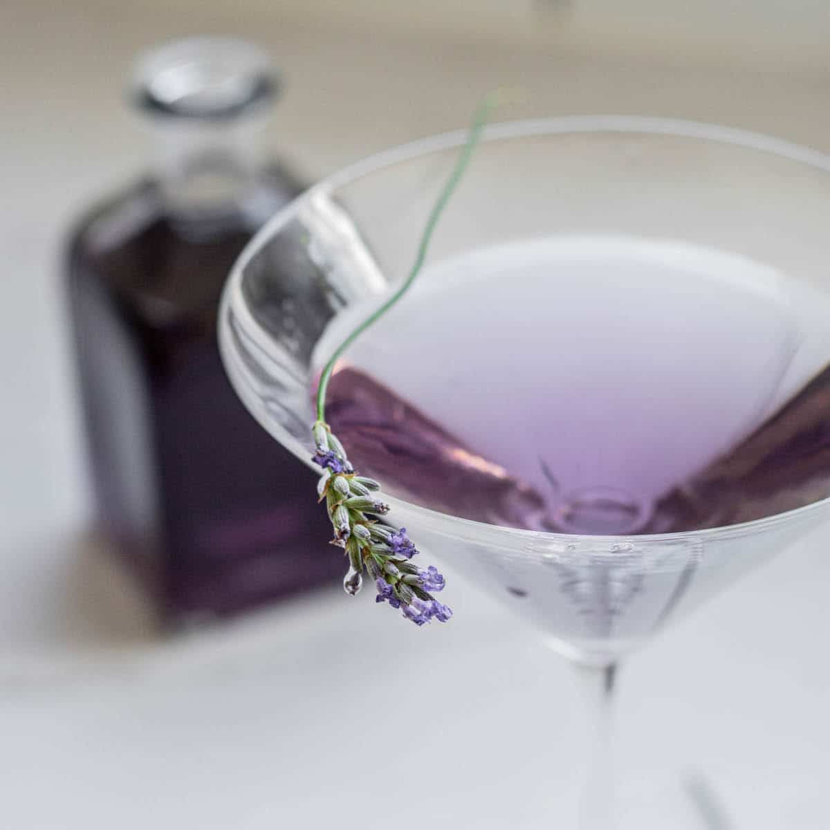 Lavender Martini