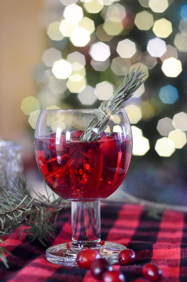 Simple Cranberry Cocktail {Cranberry Mocktail} – The Gifted Gabber