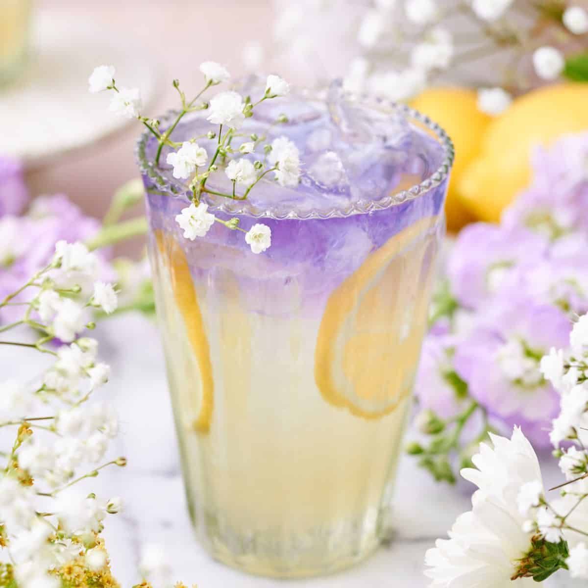 Elderflower Collins Recipe