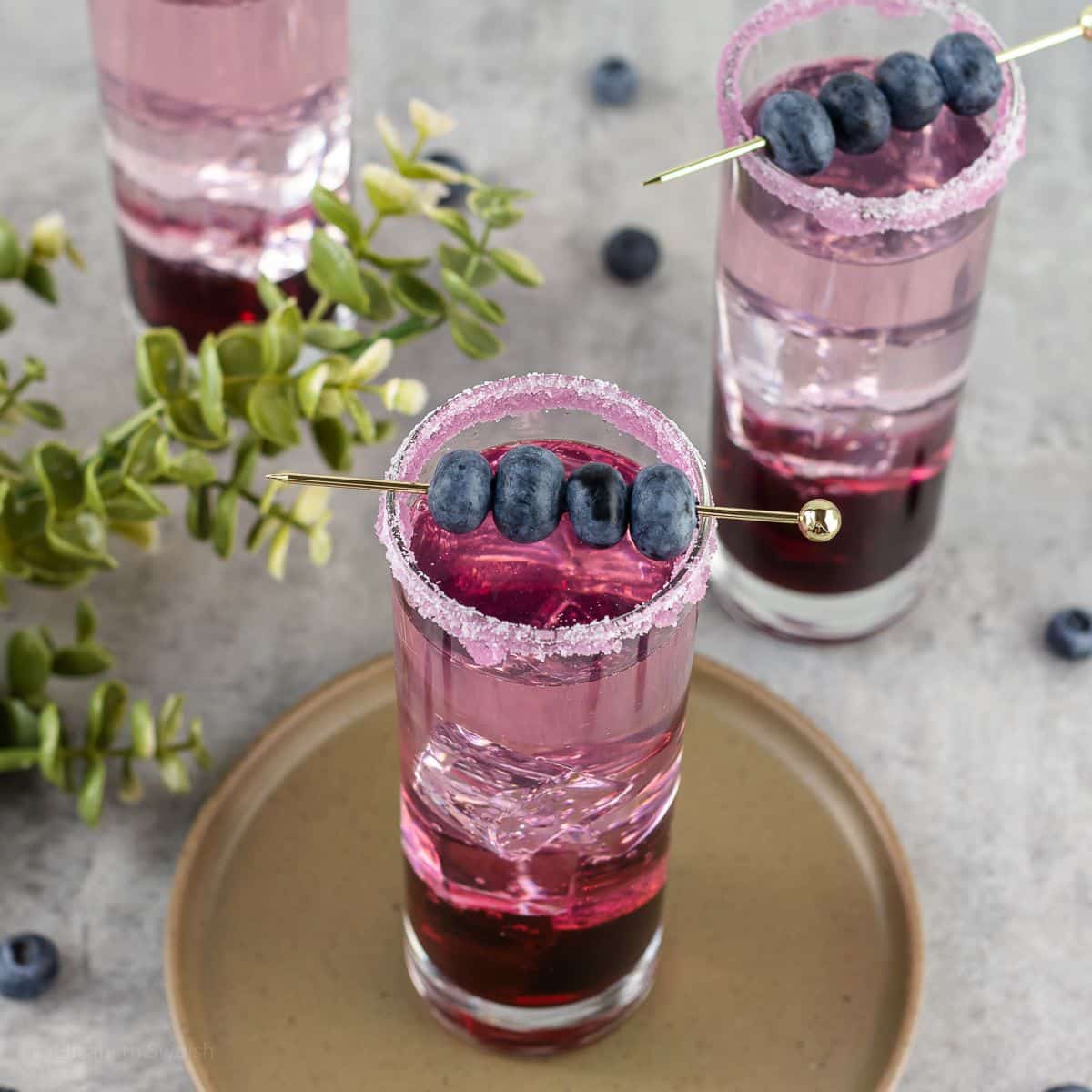 Blueberry Gin Cocktail | Entirely Elizabeth