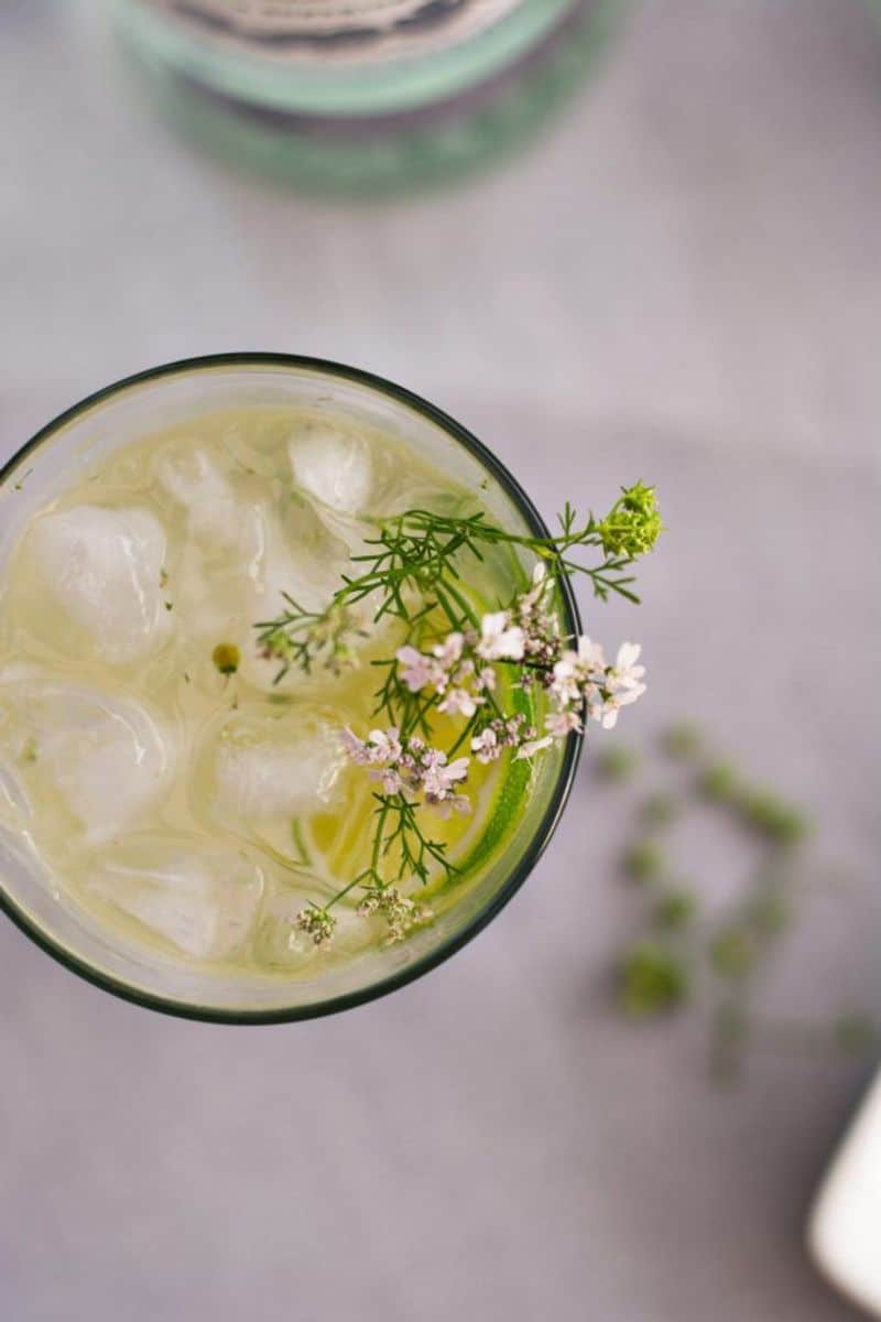 The ‘Green’ Mojito