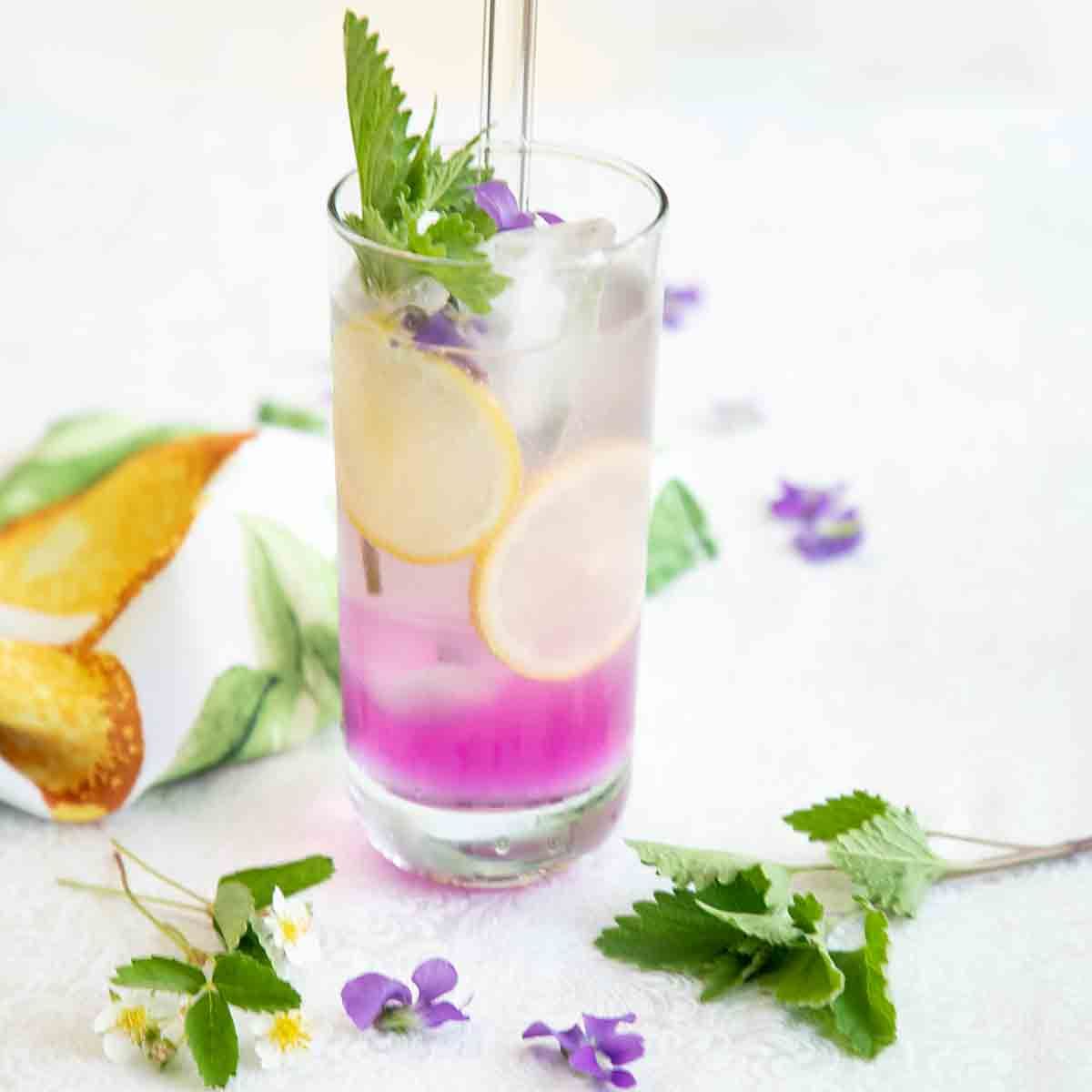 Wild Violet Lemonade – Art of Natural Living