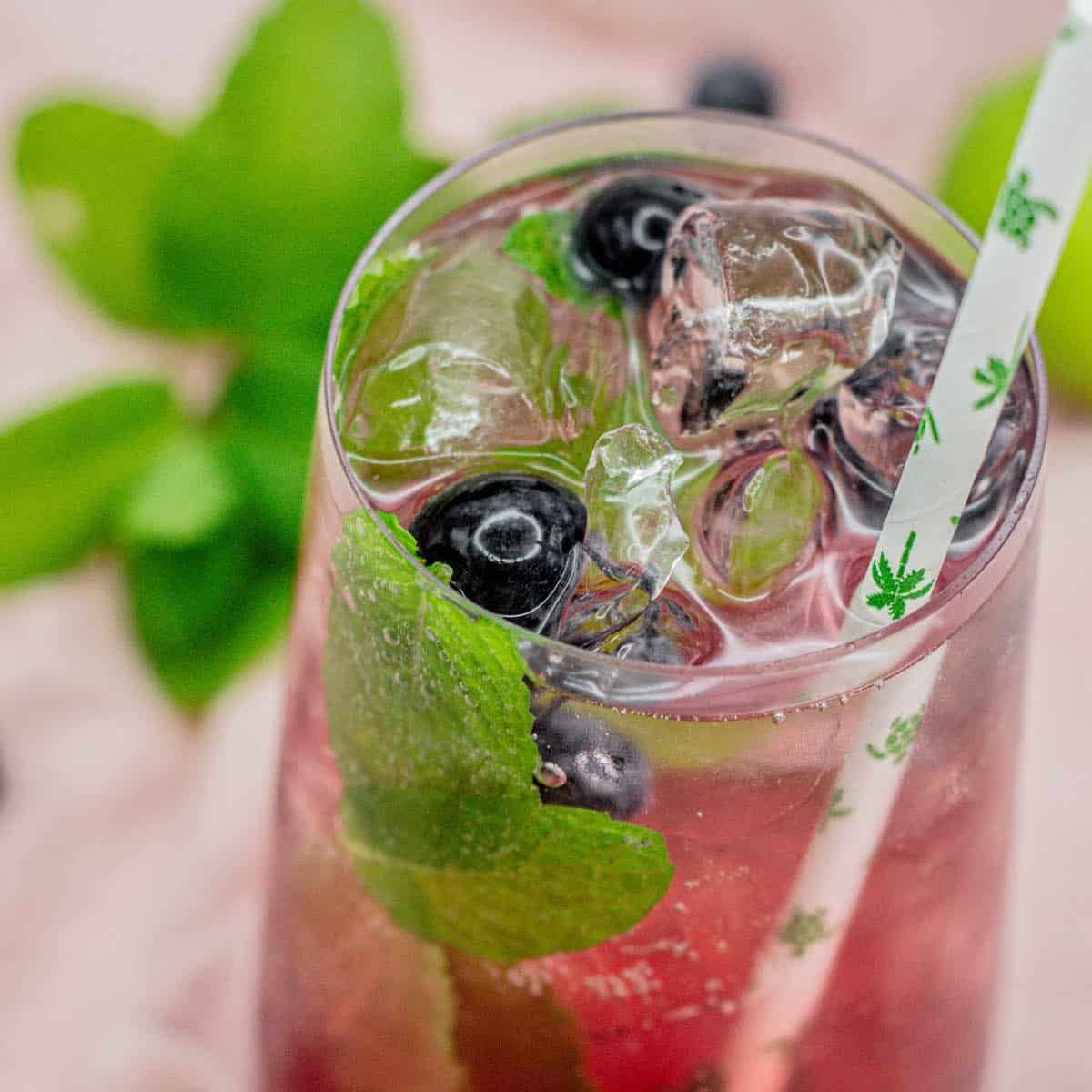 Blueberry Mojito Mocktail