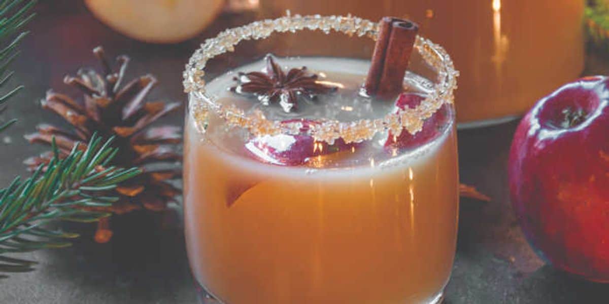 Holiday Apple Cider Punch Recipe